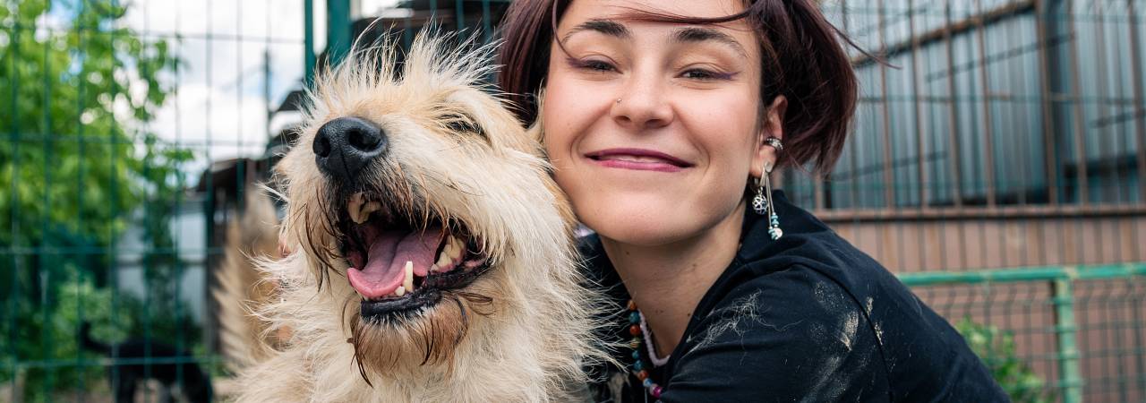 Come aprire un asilo per cani